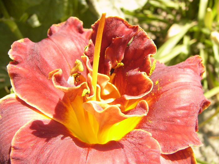 P1290480