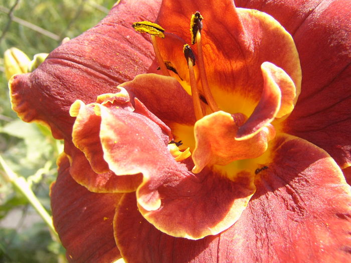 P1290487