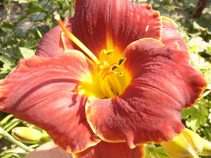 P1290489