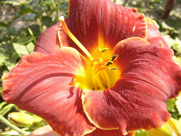P1290490