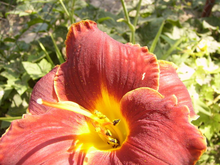 P1290491