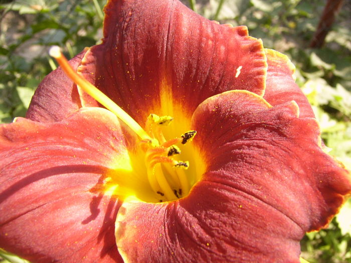 P1290492