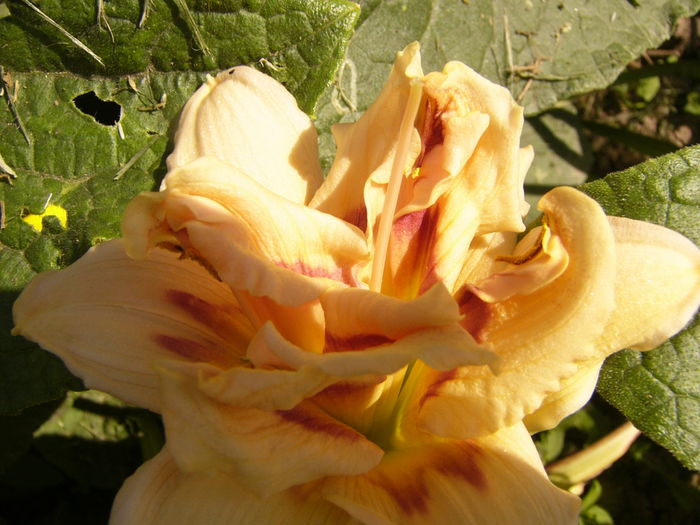 P1290493