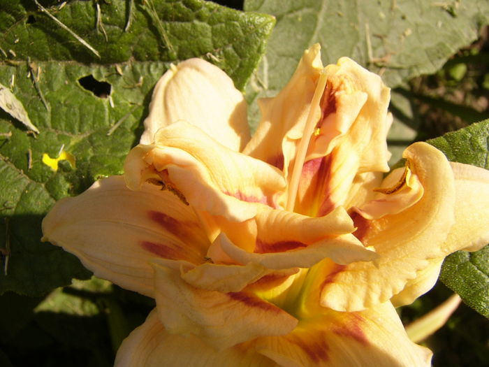 P1290494