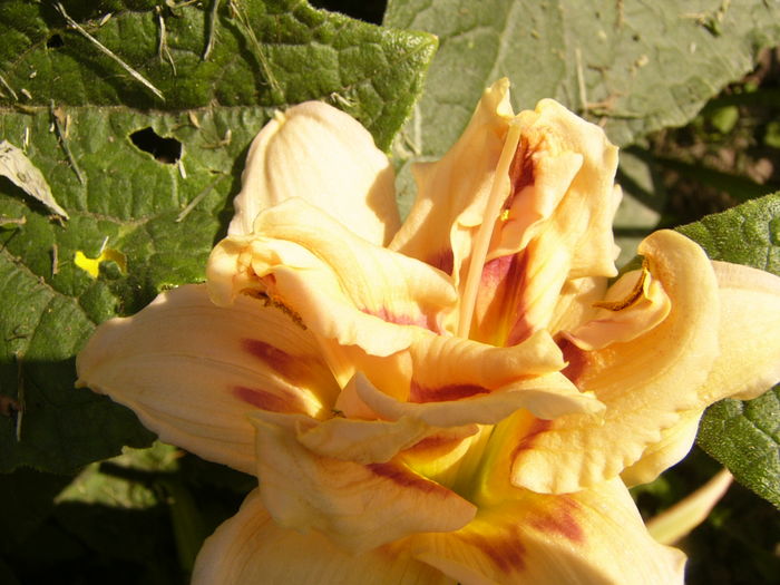 P1290495