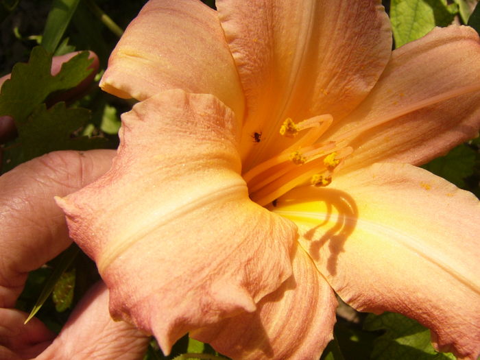 P1290498