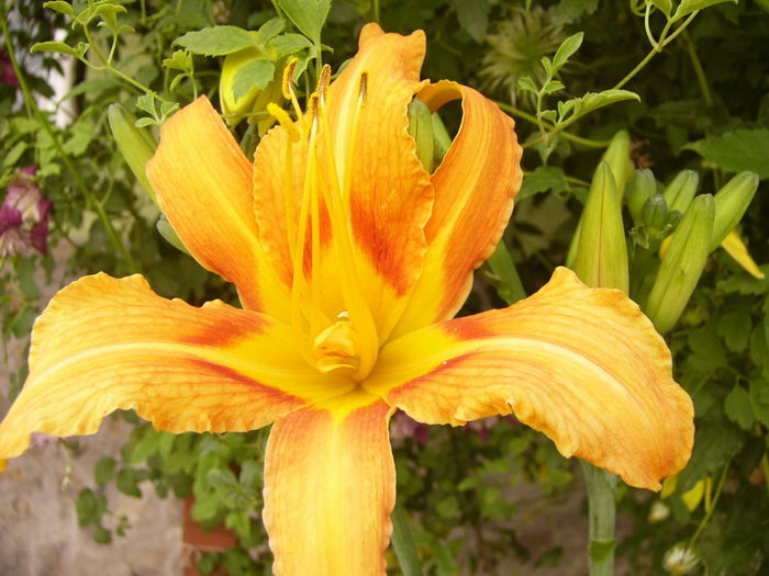 P1290501