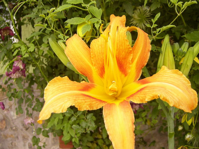 P1290502