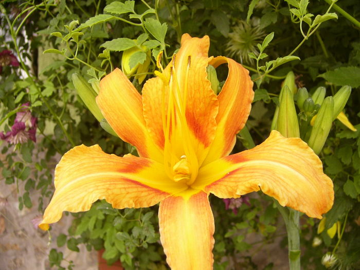 P1290503