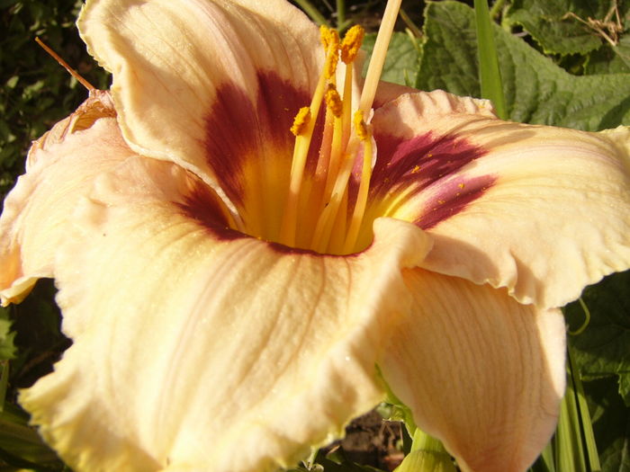P1290544