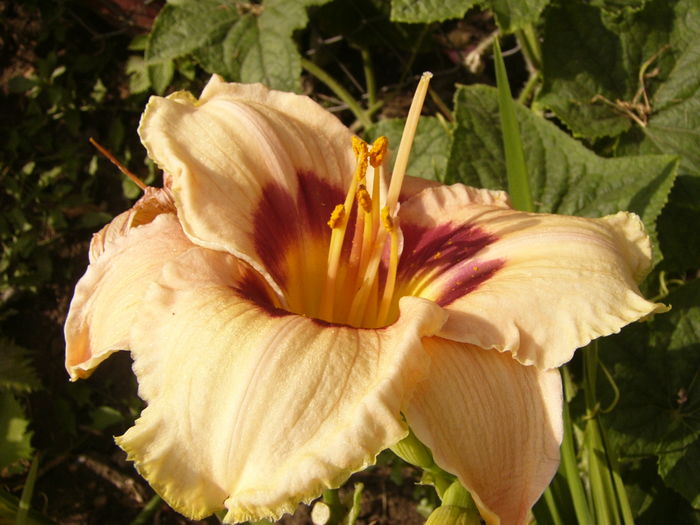 P1290545