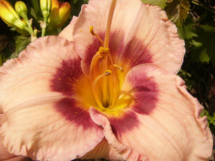 P1290546