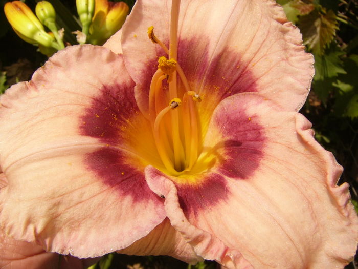 P1290548