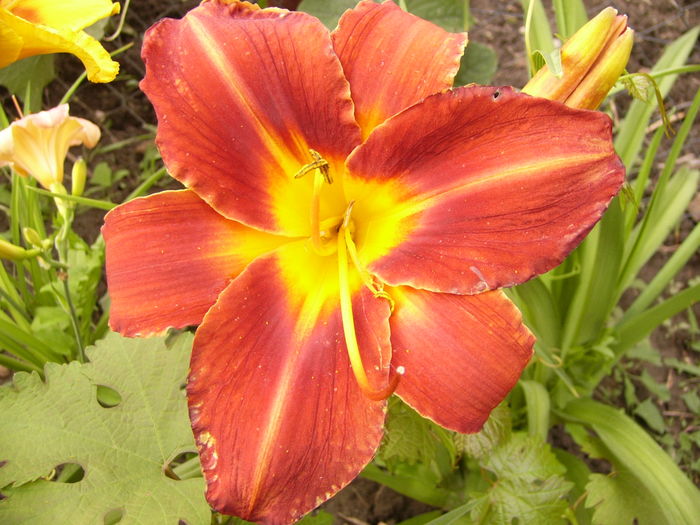 P1290549