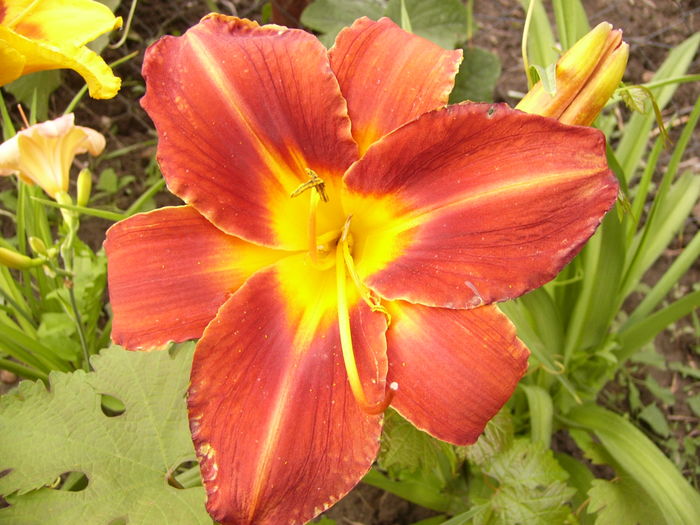 P1290552