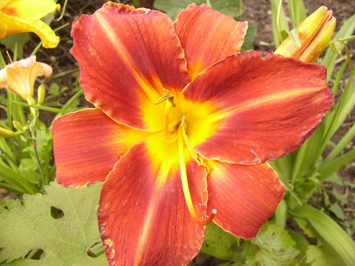 P1290553