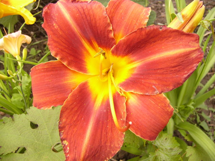 P1290554