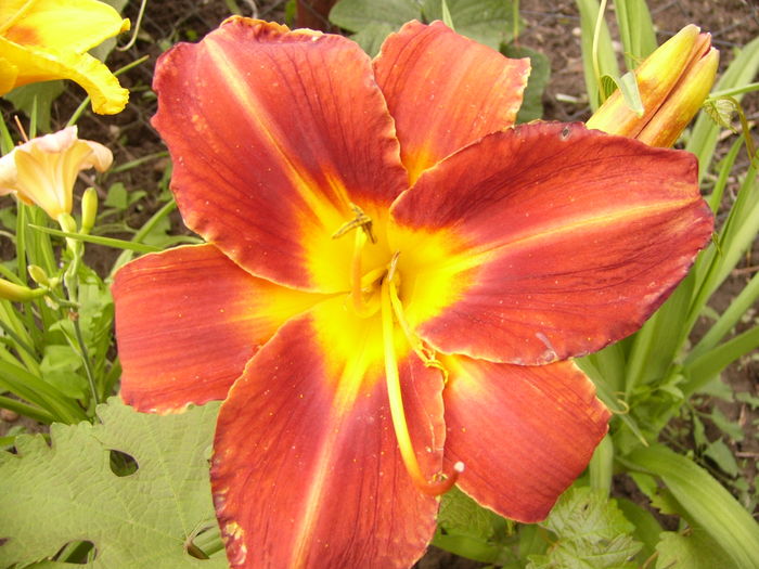 P1290555