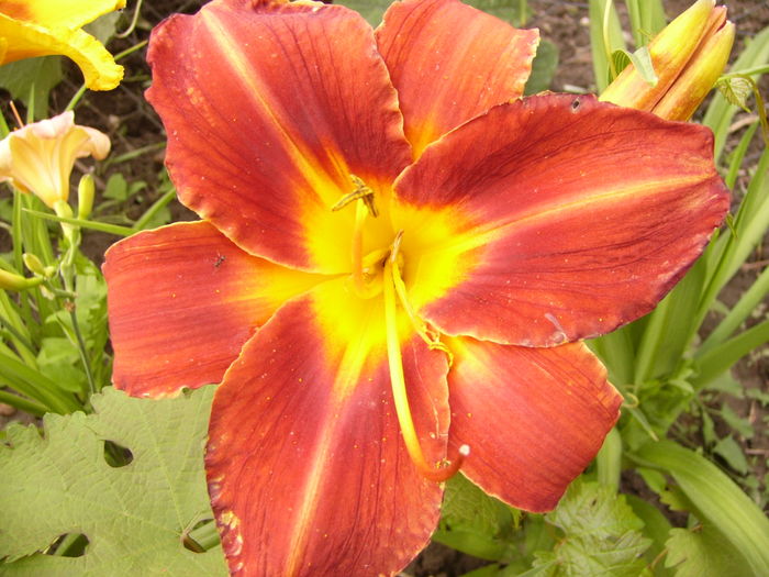 P1290556