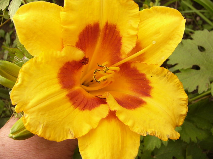 P1290560