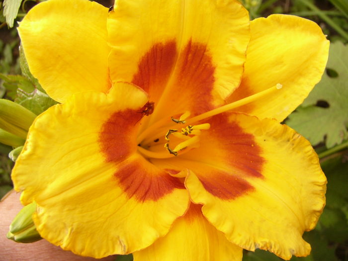 P1290564