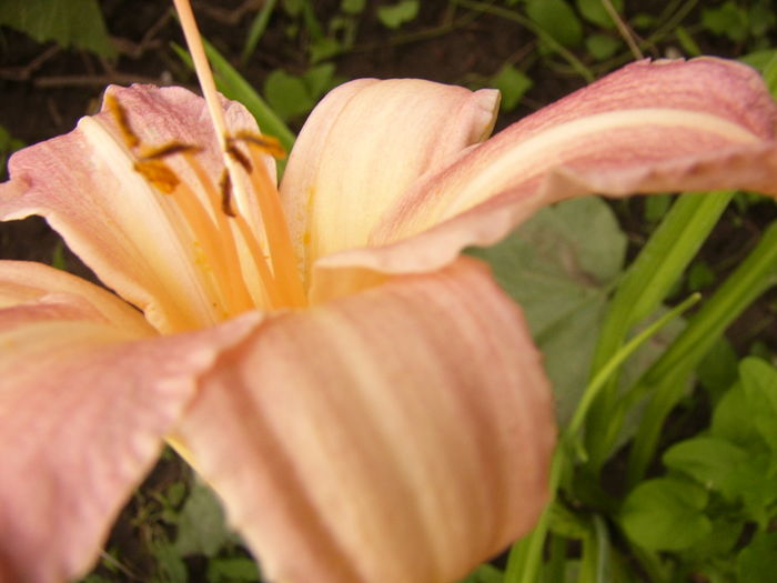 P1290573