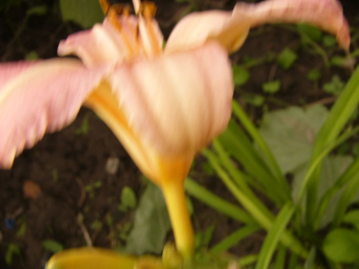 P1290574