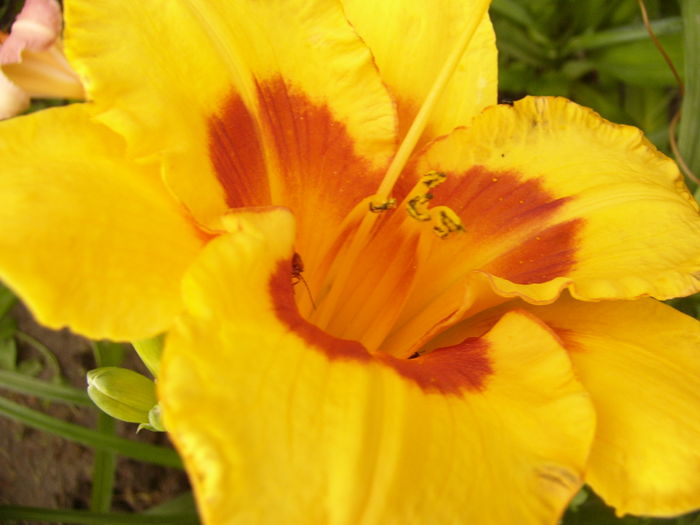 P1290575