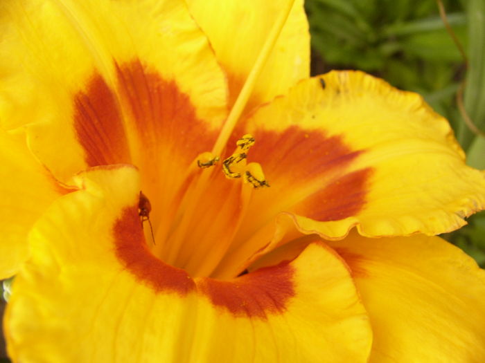 P1290576