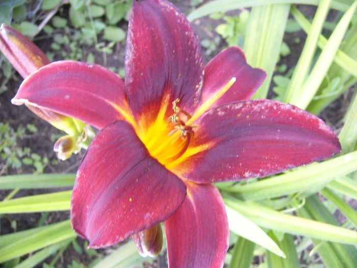P1290583