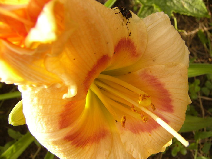 P1290587