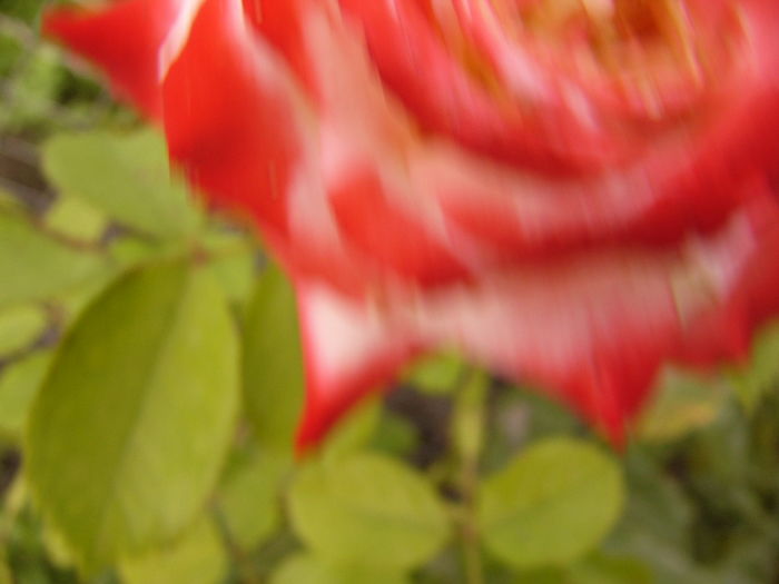 P1290596