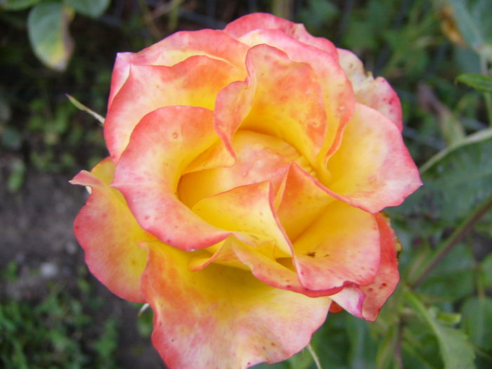P1290641