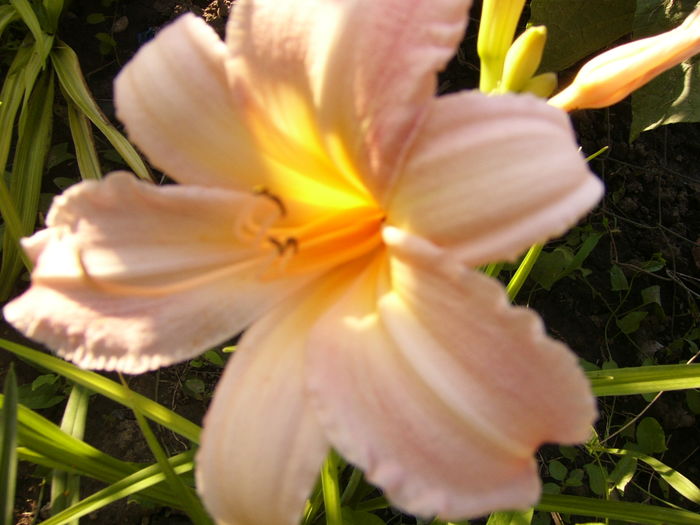 P1290679