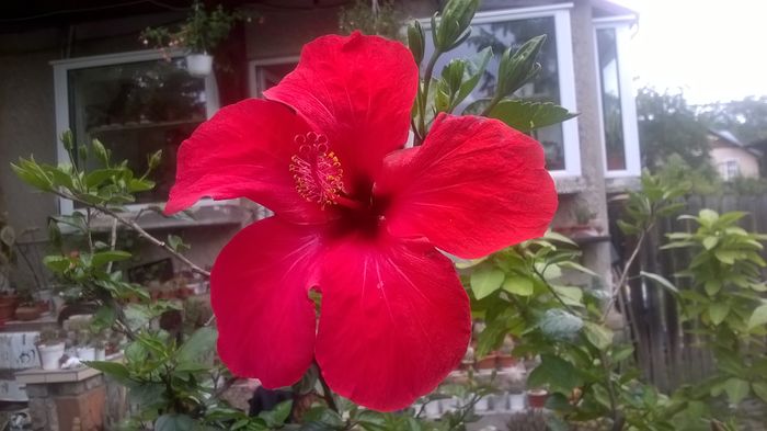 WP_20160619_17_01_35_Pro