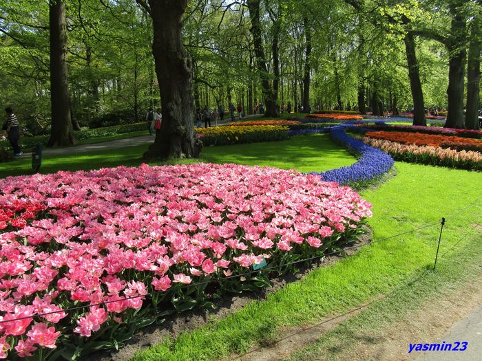 Keukenhof.06.05.2016 265