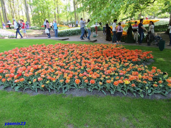 Keukenhof.06.05.2016 269