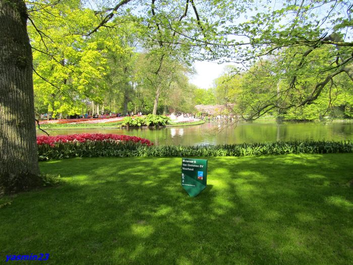 Keukenhof.06.05.2016 272