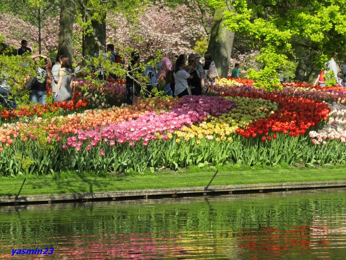 Keukenhof.06.05.2016 274
