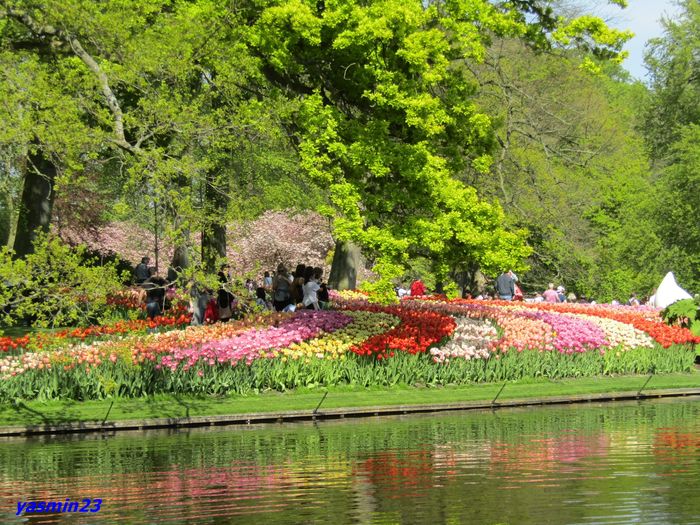 Keukenhof.06.05.2016 275