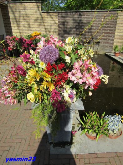 Keukenhof.06.05.2016 313