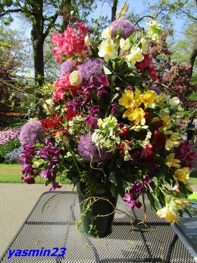 Keukenhof.06.05.2016 317