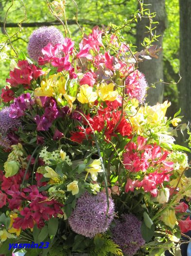 Keukenhof.06.05.2016 334