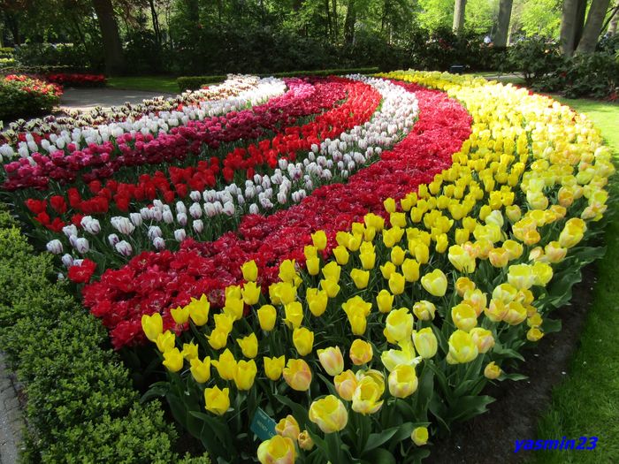 Keukenhof.06.05.2016 338