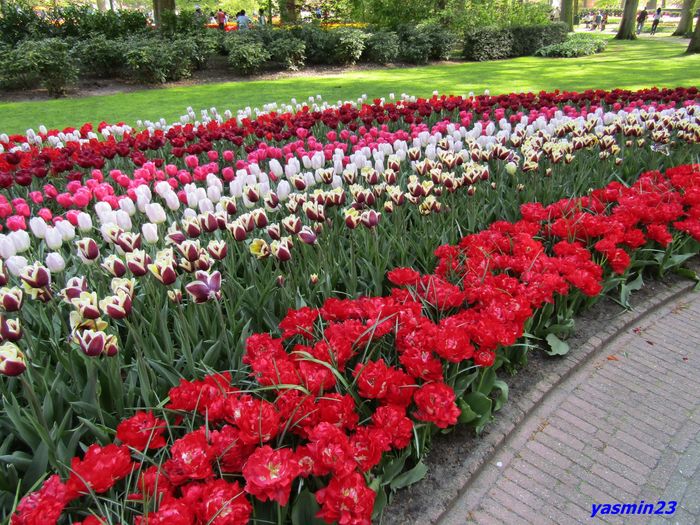 Keukenhof.06.05.2016 341