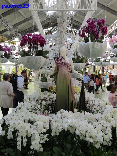 Keukenhof.06.05.2016 365 - 3Keukenhof  Olanda Parada modei