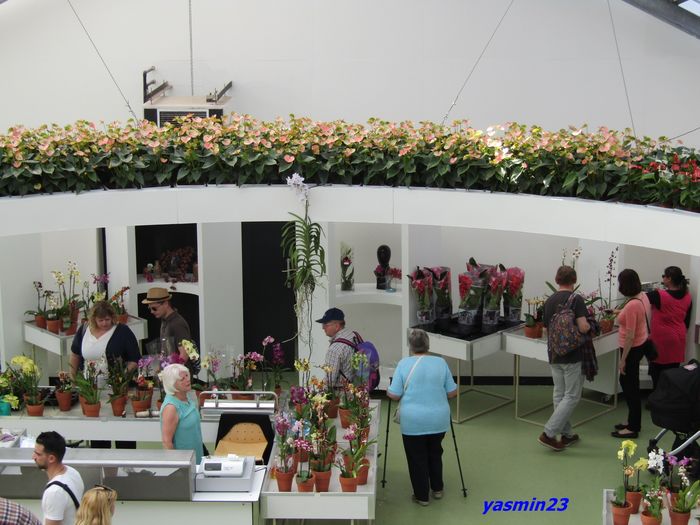 Keukenhof.06.05.2016 384