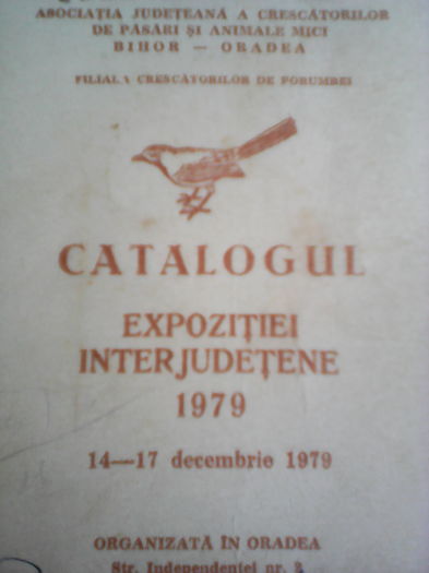 IMG_copertă catalog  expoziție