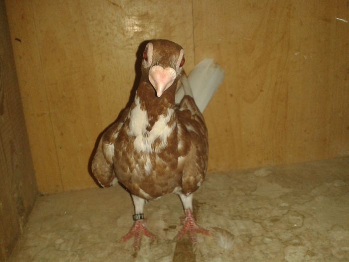 20160702_112218 - pui 2016