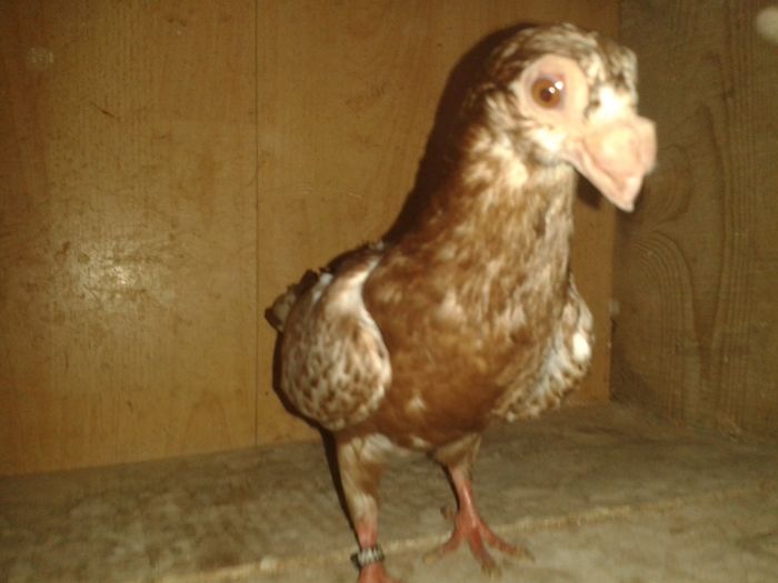 20160702_112955 - pui 2016